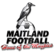 Cooks Hill United Reserves